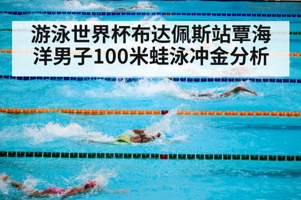 competitive swimming pool